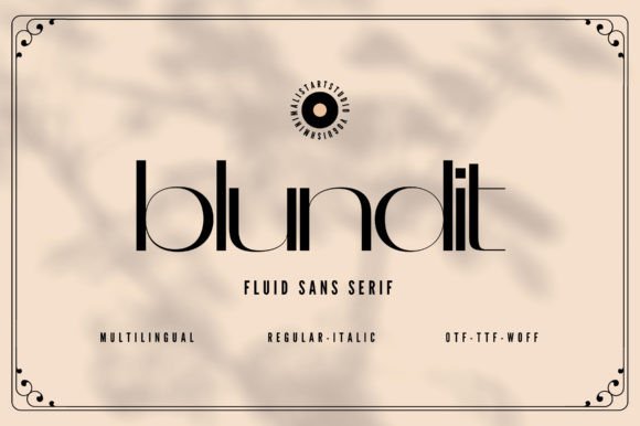 Blundit: A Font for Modern Campaigns