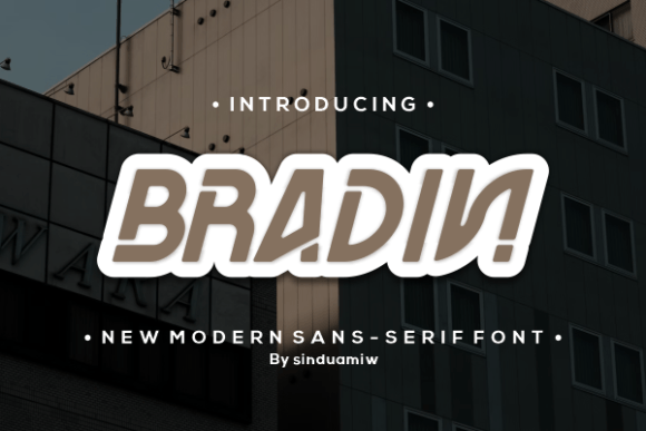 Bradin: A Modern Font for Business Success