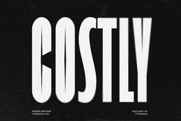 Costly: A Playful Sans Serif Font for Standout Web Headlines