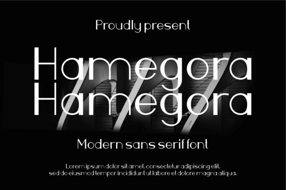 Discover Hamegora: A Modern Sans Serif