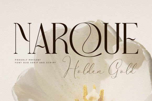 Narque Holden Gold Font for Web Design