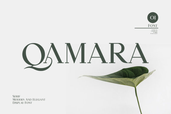 Qamara: A Bold Serif for Creative Power